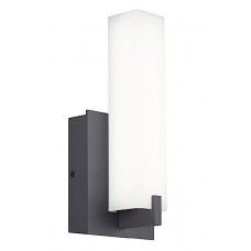 LED Indoor or Outdoor Wall Sconce