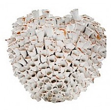 White Ceramic Coral Vase